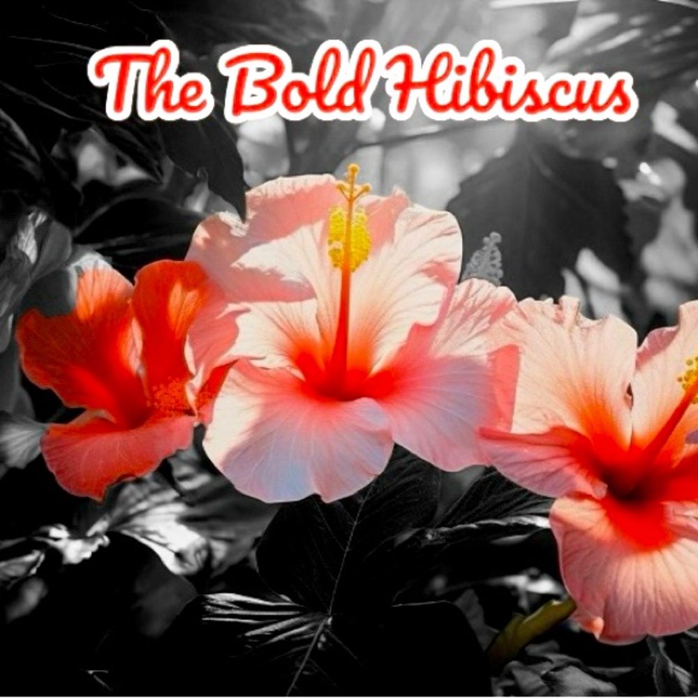 Meet your Posher, The Old Hibiscus